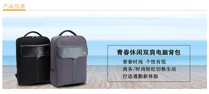 青春休閑雙肩電腦背包定制
