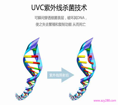 UVC紫外線是如何殺滅細菌的?